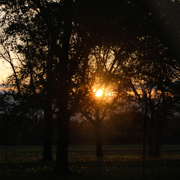 Wall Decor - Picture 6 of 16